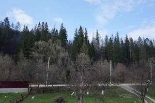 Дома для отпуска Vira-Nadiya Яремче Дом для отпуска-31